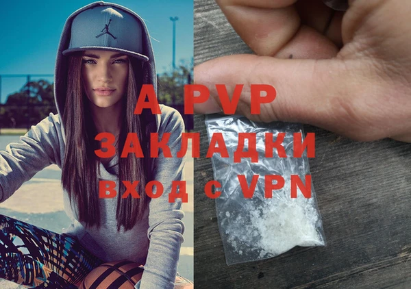 мяу мяу мука Осташков